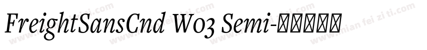 FreightSansCnd W03 Semi字体转换